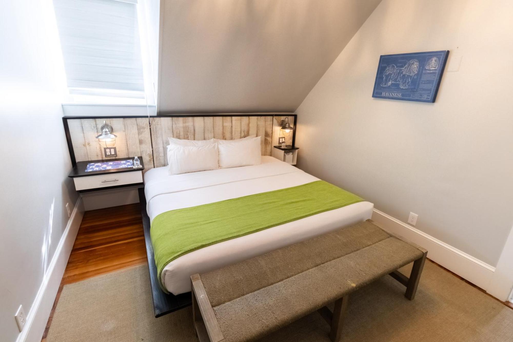Bed and Breakfast Paws On Pelham (Adults Only) Newport Zewnętrze zdjęcie