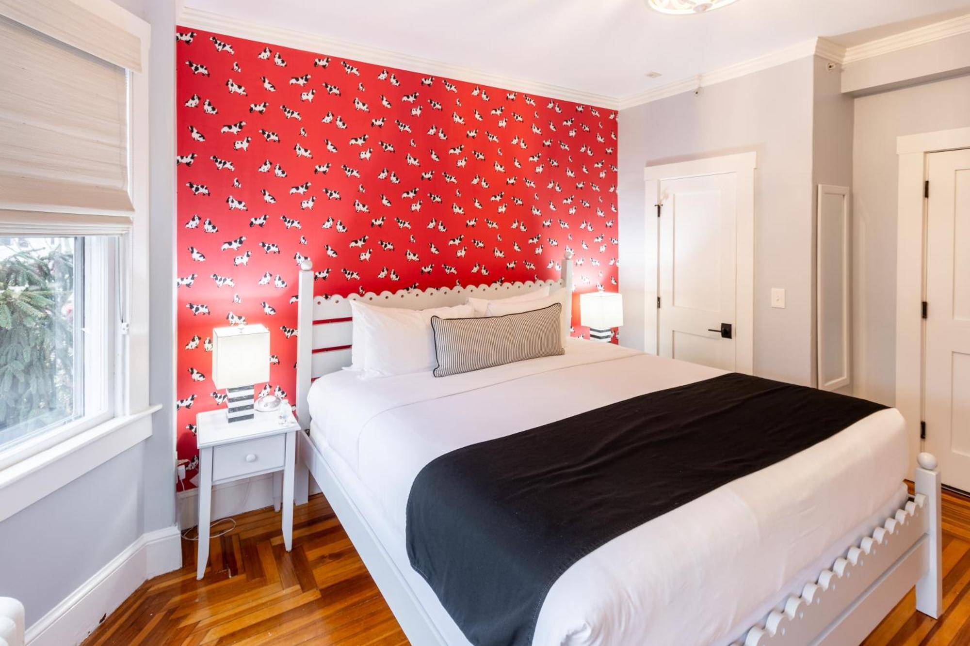 Bed and Breakfast Paws On Pelham (Adults Only) Newport Zewnętrze zdjęcie