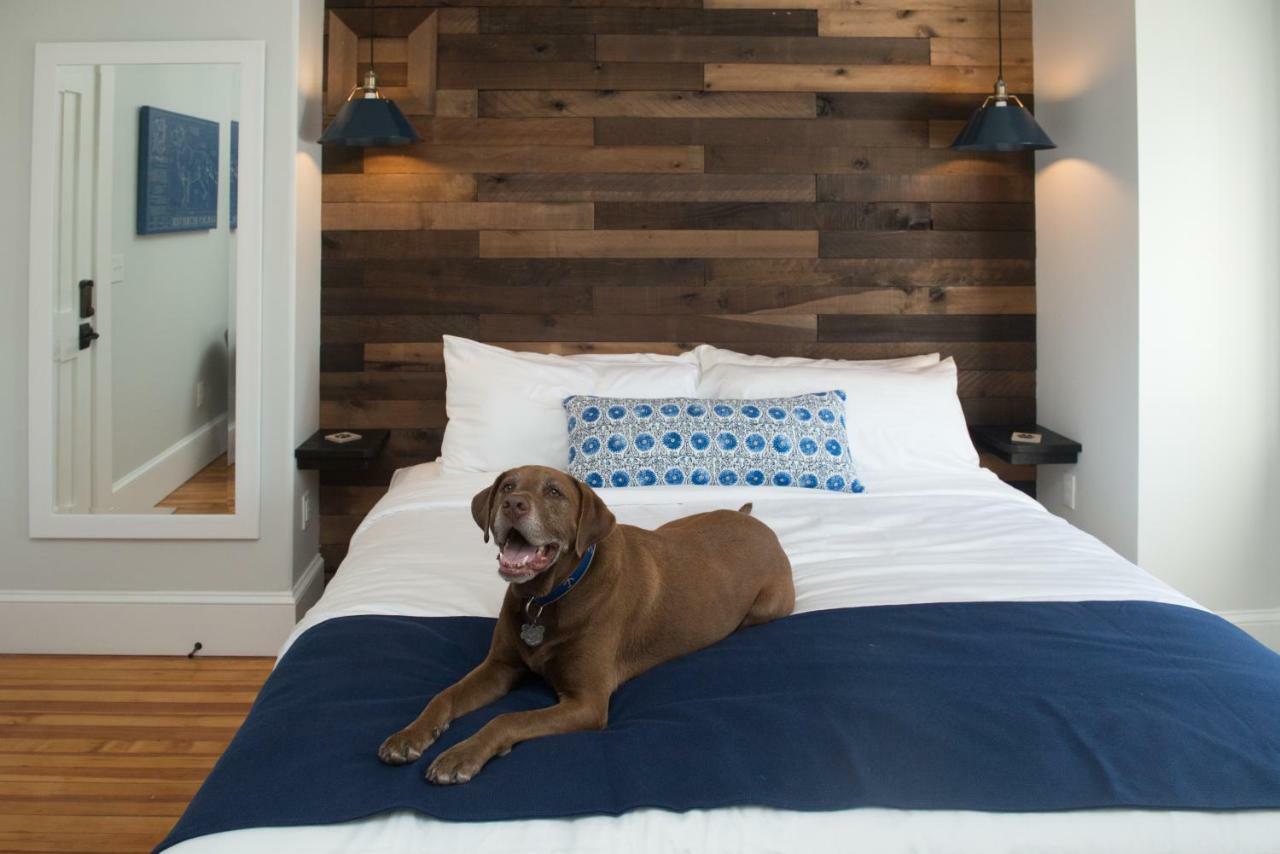 Bed and Breakfast Paws On Pelham (Adults Only) Newport Zewnętrze zdjęcie