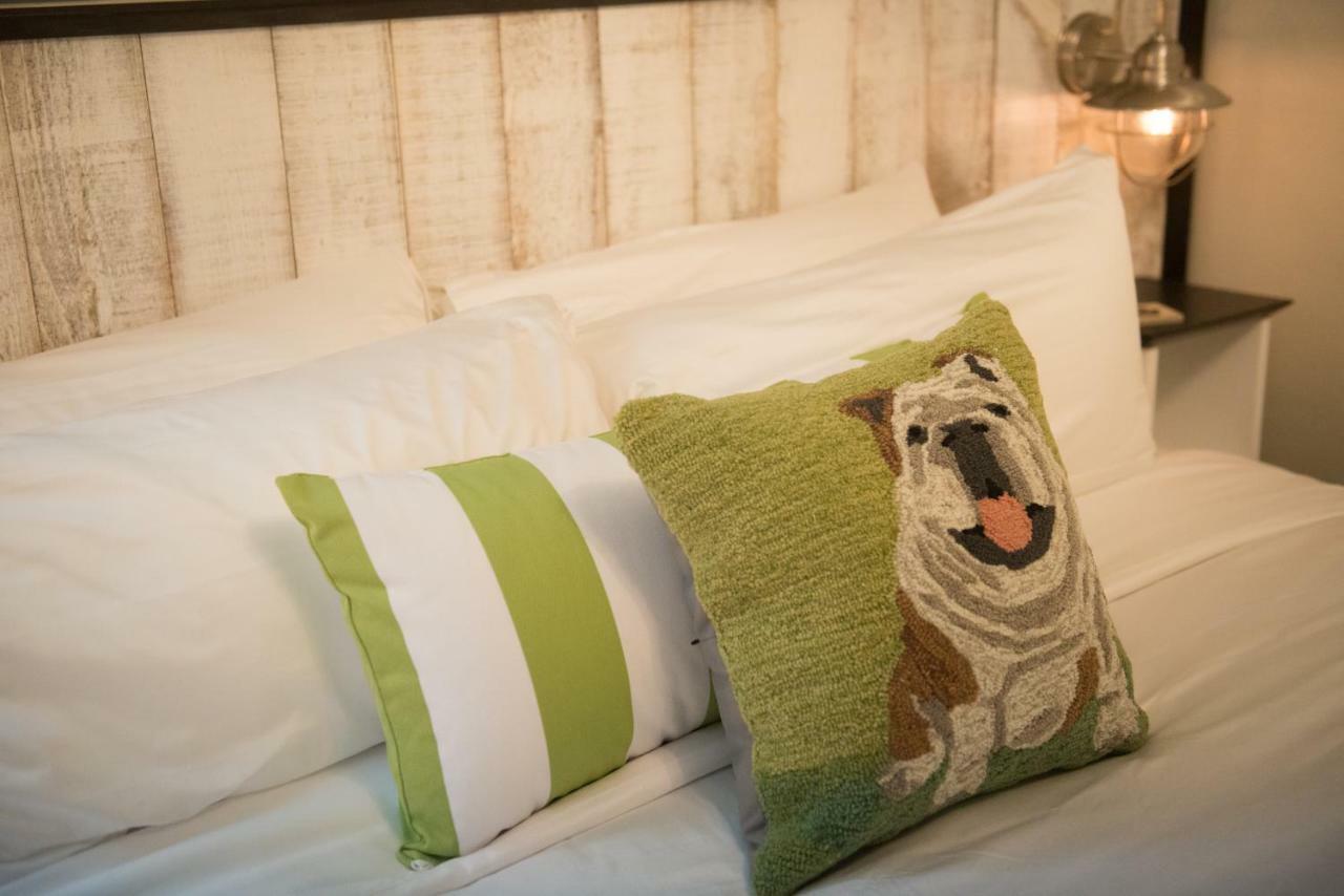 Bed and Breakfast Paws On Pelham (Adults Only) Newport Zewnętrze zdjęcie