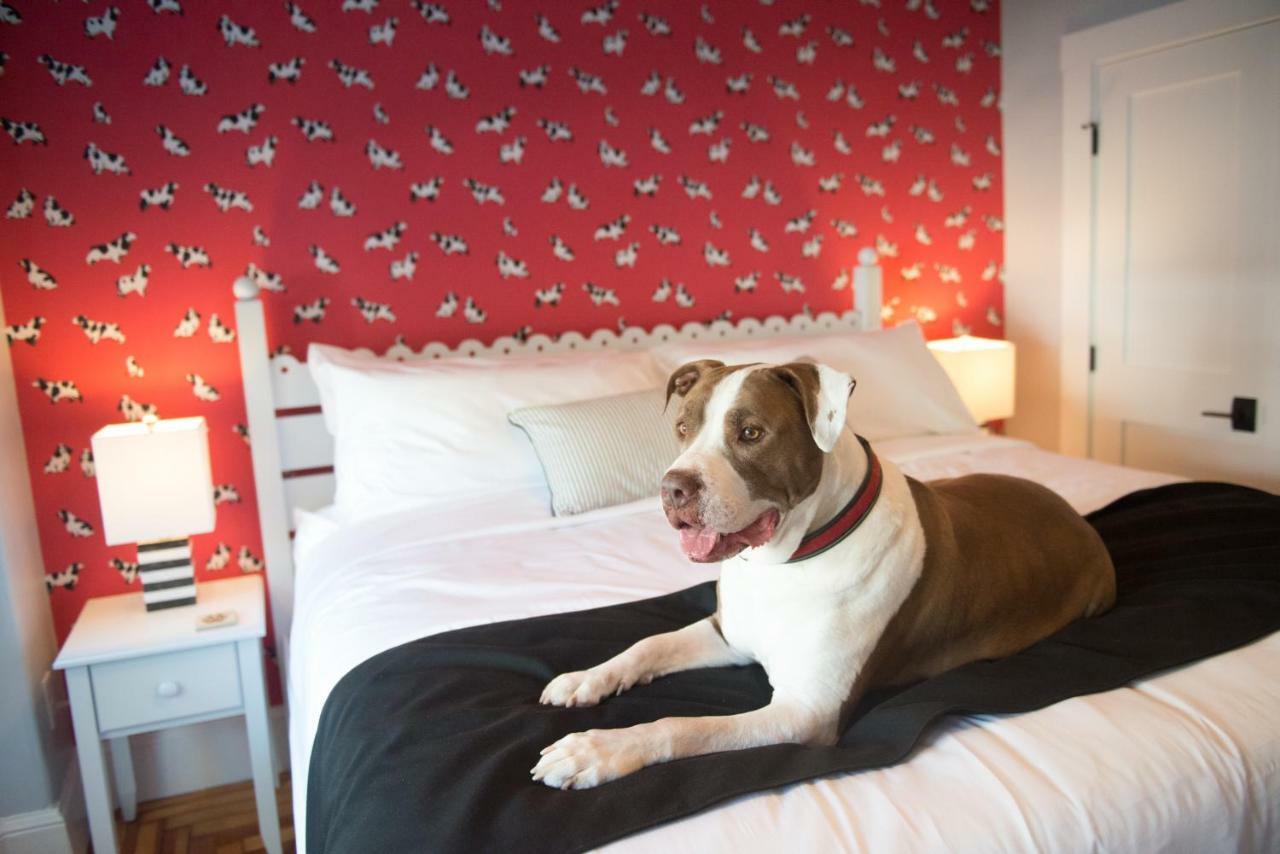 Bed and Breakfast Paws On Pelham (Adults Only) Newport Zewnętrze zdjęcie
