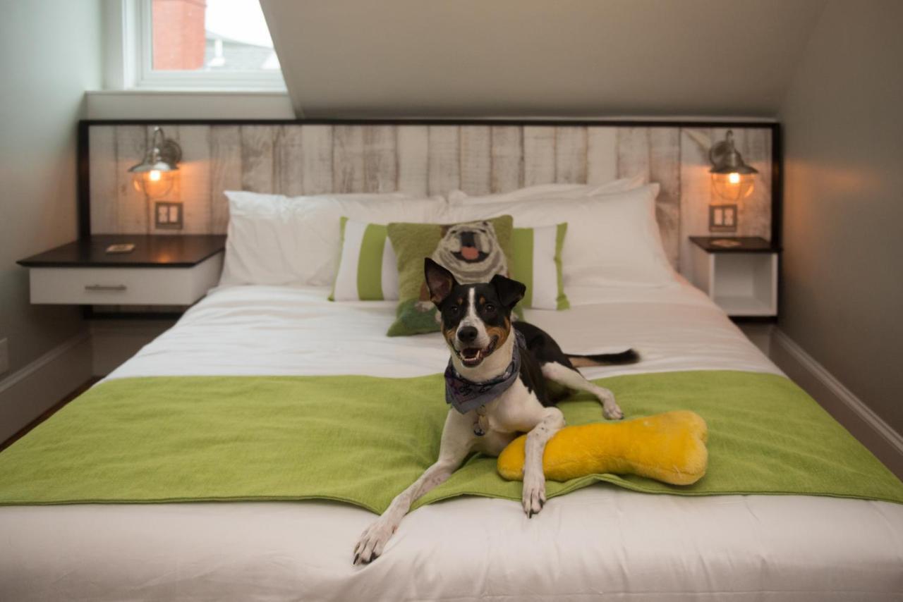 Bed and Breakfast Paws On Pelham (Adults Only) Newport Zewnętrze zdjęcie